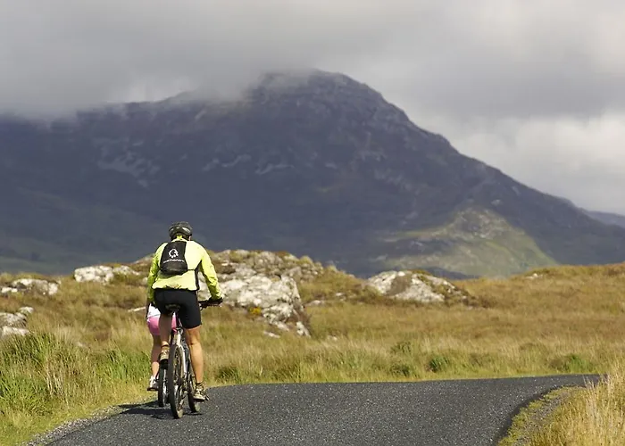 Hébergement de vacances 457 - *